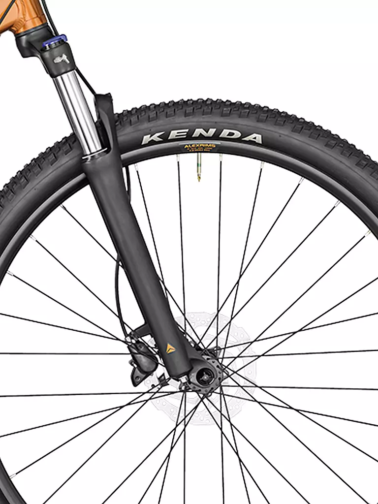 BERGAMONT | Mountainbike Revox 4 bronze | orange