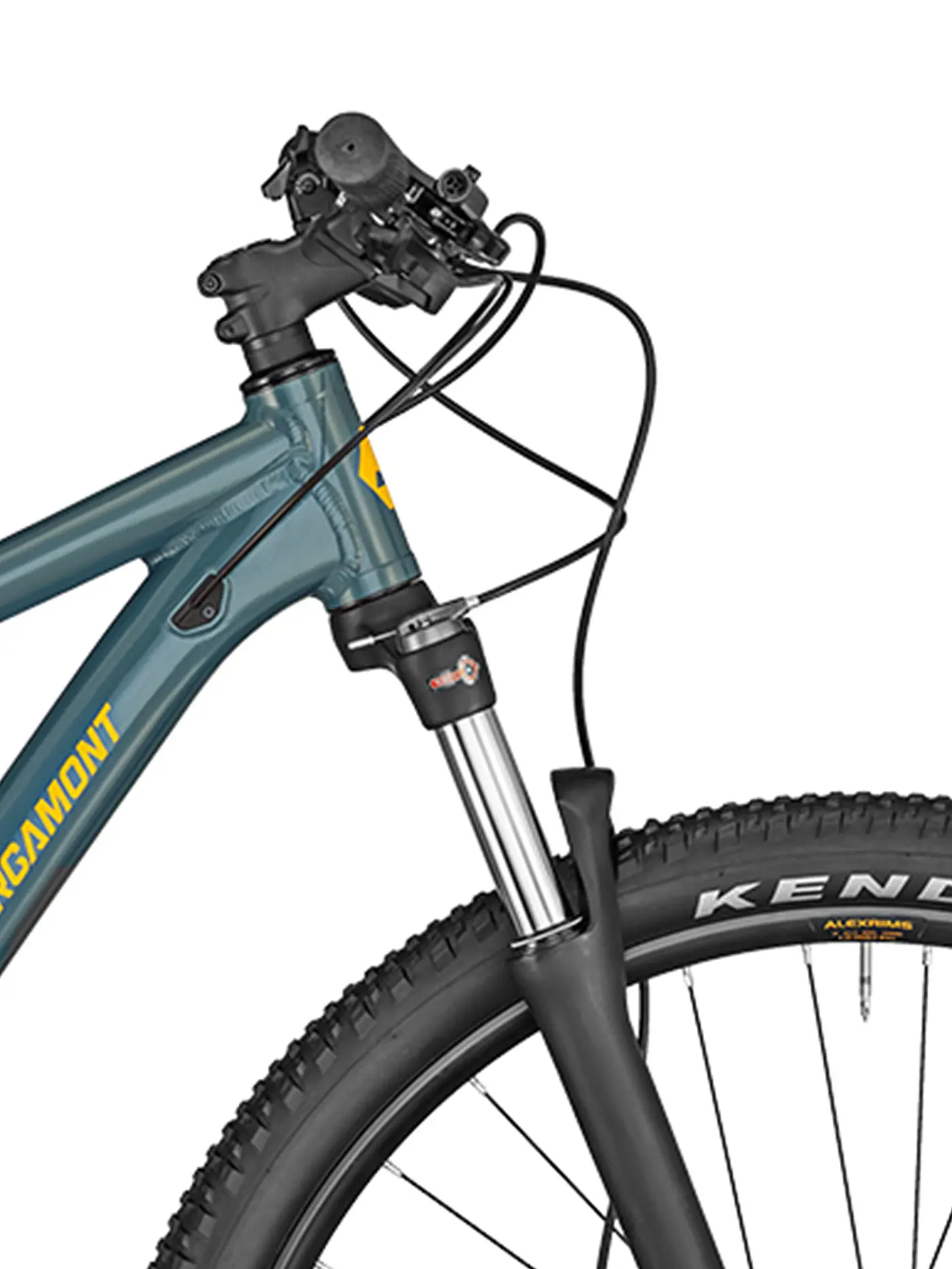 BERGAMONT | Mountainbike Revox 6 | petrol