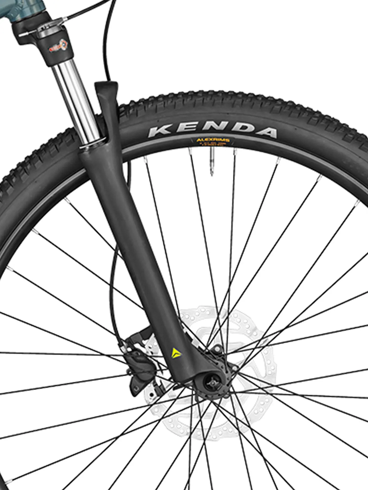 BERGAMONT | Mountainbike Revox 6 | petrol