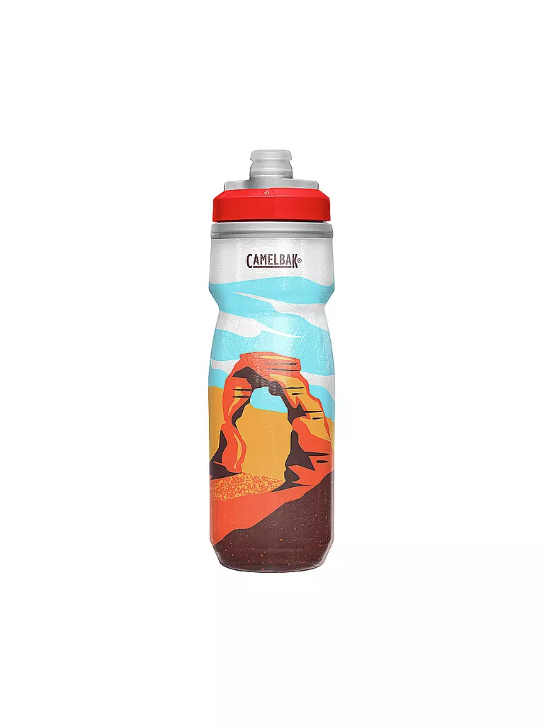 CAMELBAK | Trinkflasche Podium Chill Spring Summer LE 620ml | bunt