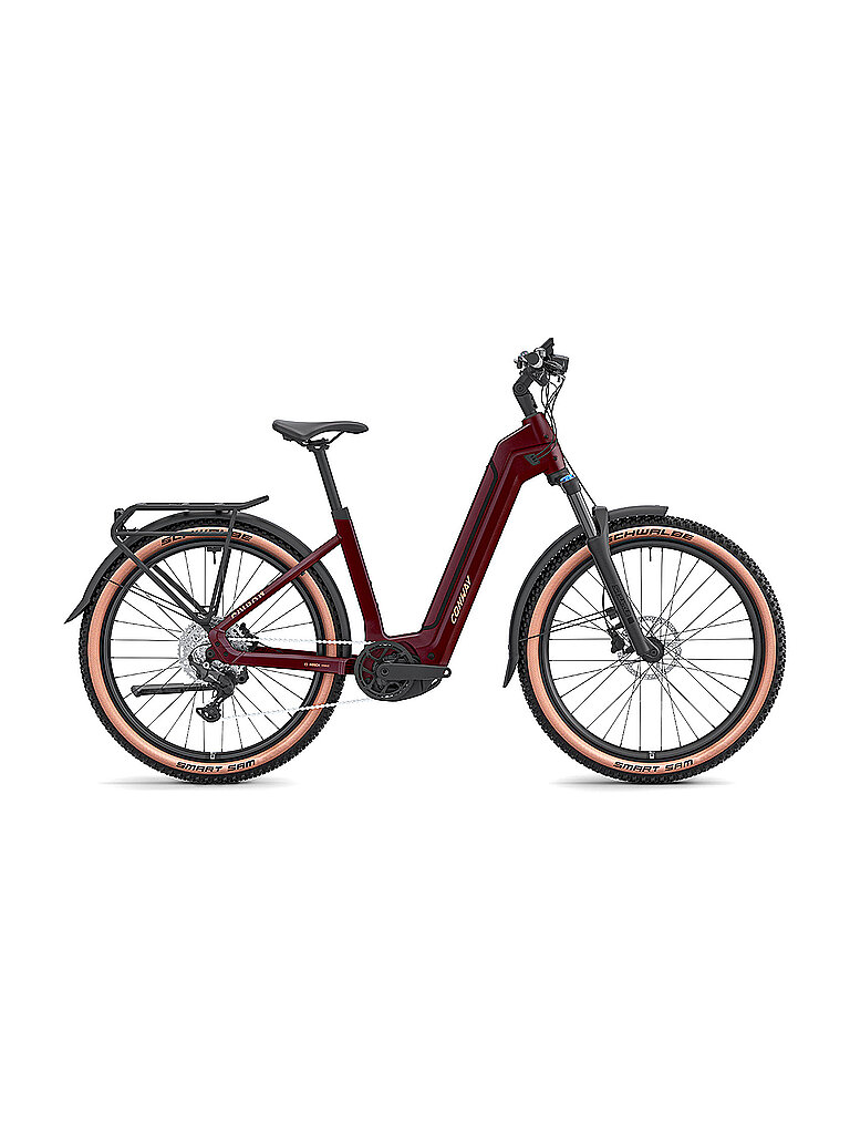 Conway E-Bike Cairon C 1.0 800 Wave (Tiefeneinsteiger)