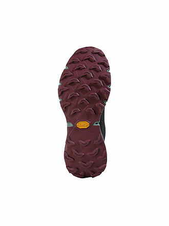DYNAFIT | Damen Traillaufschuhe Ultra 100 GTX