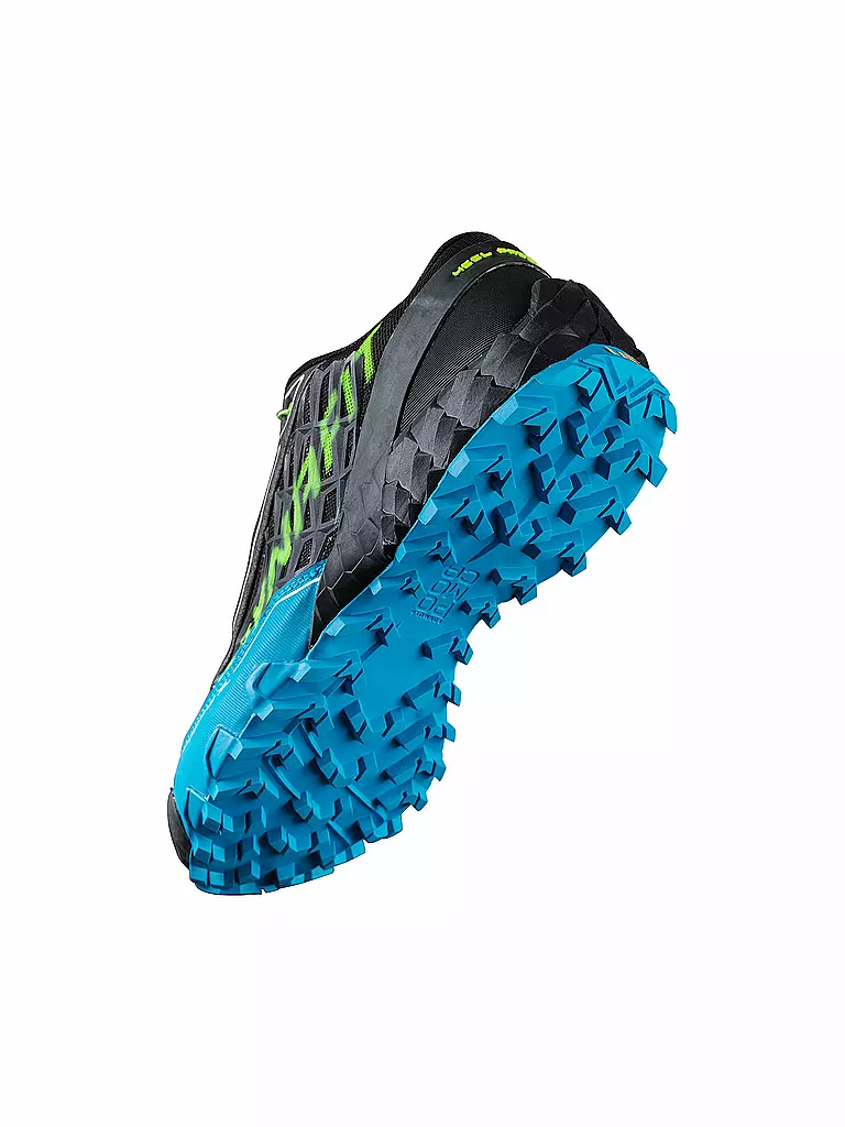 DYNAFIT | Herren Traillaufschuhe Feline SL | grau