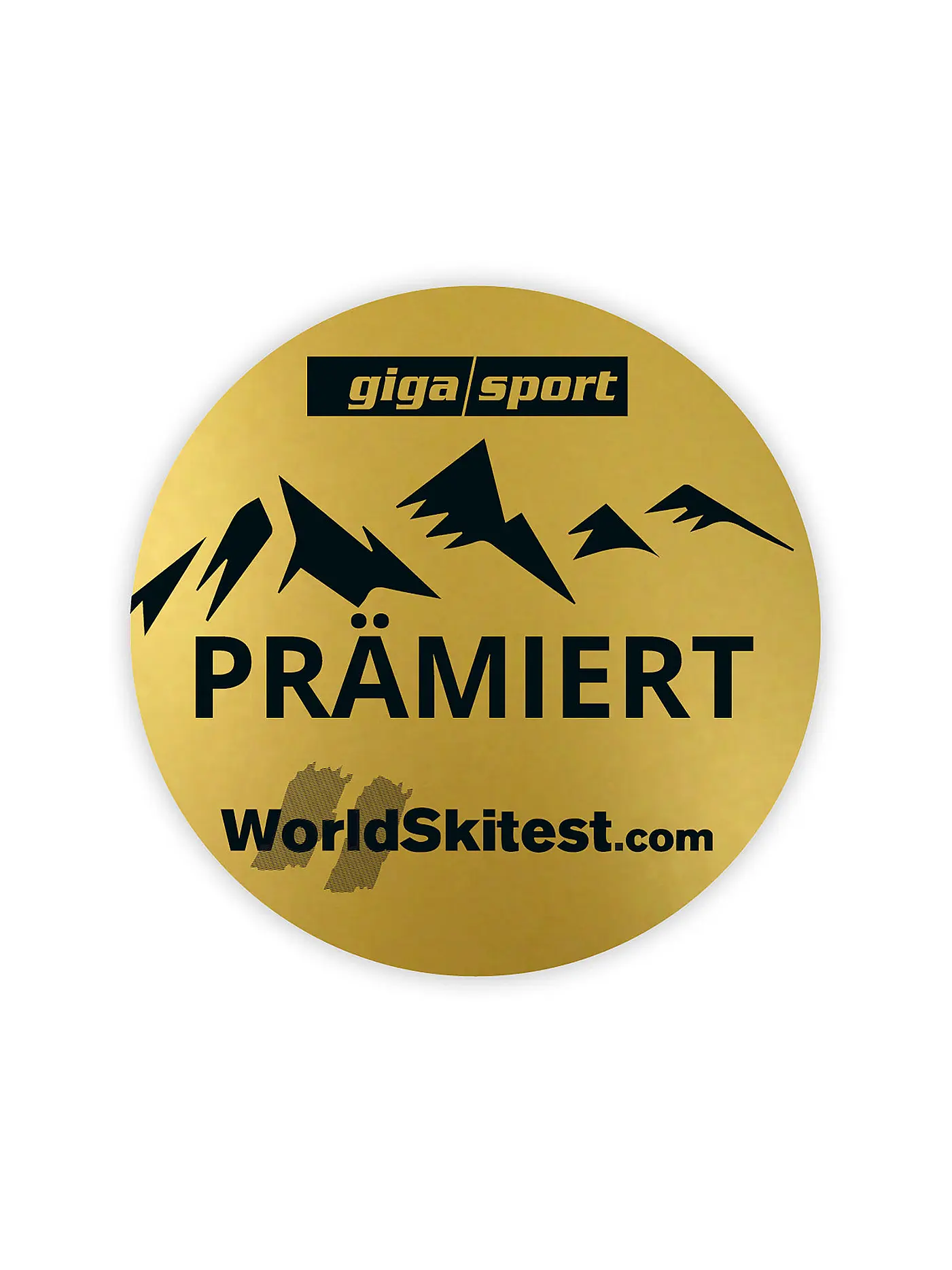 ELAN | Raceski ACE GSX Master Plate | grün