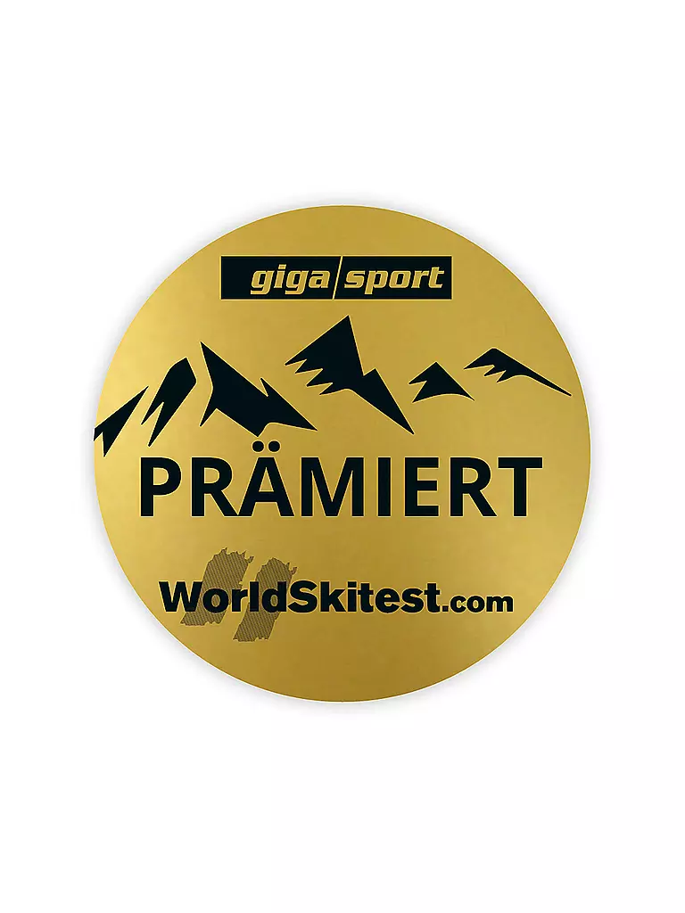 ELAN | Raceski Set ACE GSX Master Plate | grün