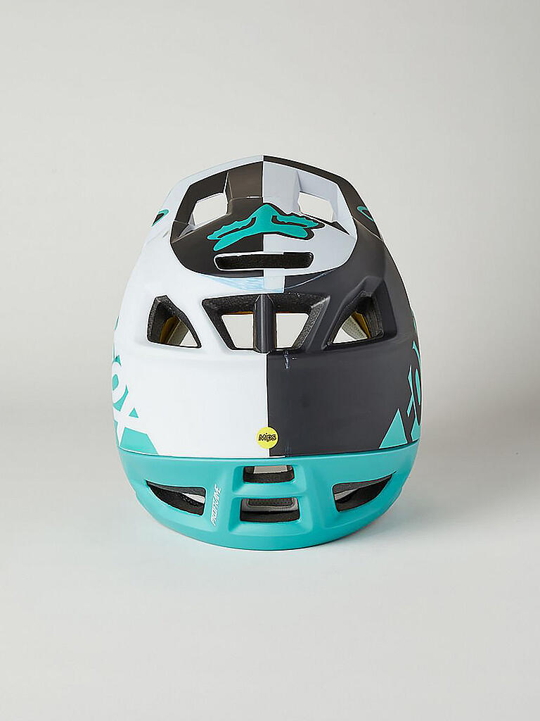 FOX | Herren Fullface MTB-Helm Proframe | blau