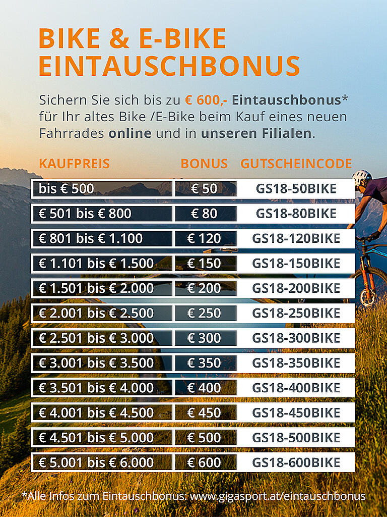 GIANT | Herren E-Mountainbike 27,5" Dirt-E+ 2 Pro 2018 | grau