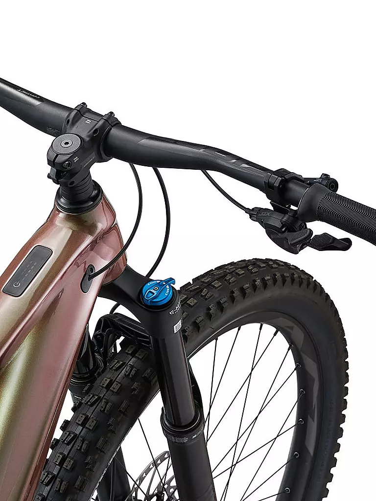 GIANT | Herren E-Mountainbike 29
