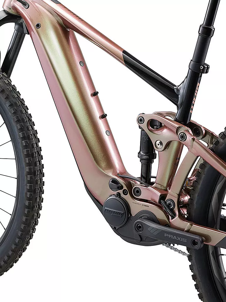 GIANT | Herren E-Mountainbike 29