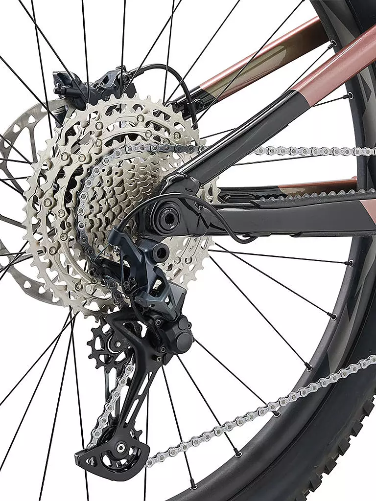 GIANT | Herren E-Mountainbike 29