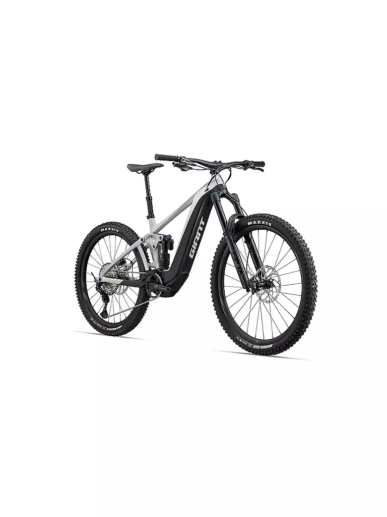 GIANT | Herren E-Mountainbike 29" Reign E+ 1 625WH  | grau