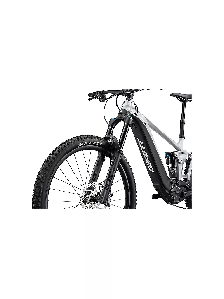 GIANT | Herren E-Mountainbike 29" Reign E+ 1 625WH  | grau