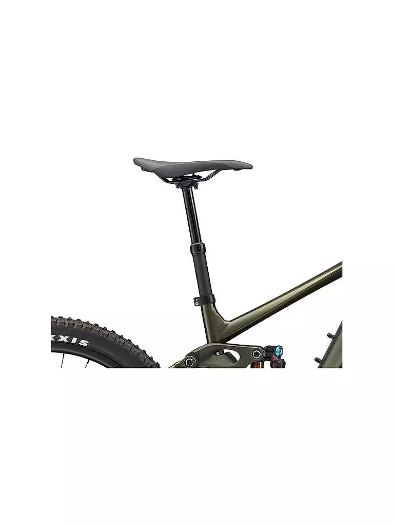 GIANT | Herren E-Mountainbike Reign E+ 0 750Wh  | grün