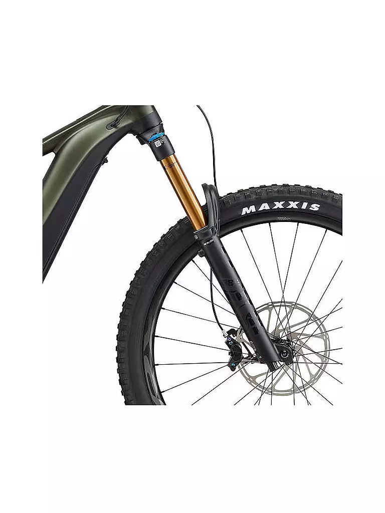 GIANT | Herren E-Mountainbike Reign E+ 0 750Wh  | grün