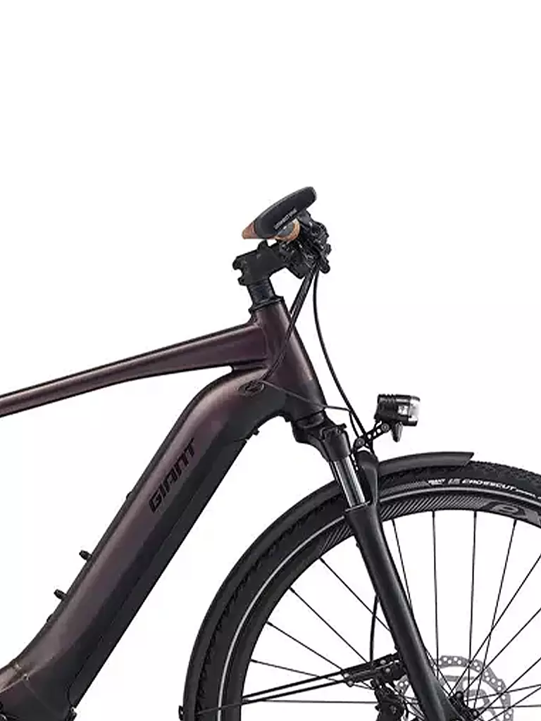 GIANT | Herren E-Urbanbike Explore E+ 1 Pro GTS  | lila