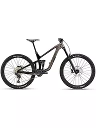 GIANT | Mountainbike 29" Reign Advanced Pro 2 | silber