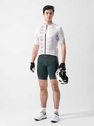 GOREWEAR | Herren Radtrikot SPINSHIFT Pixel