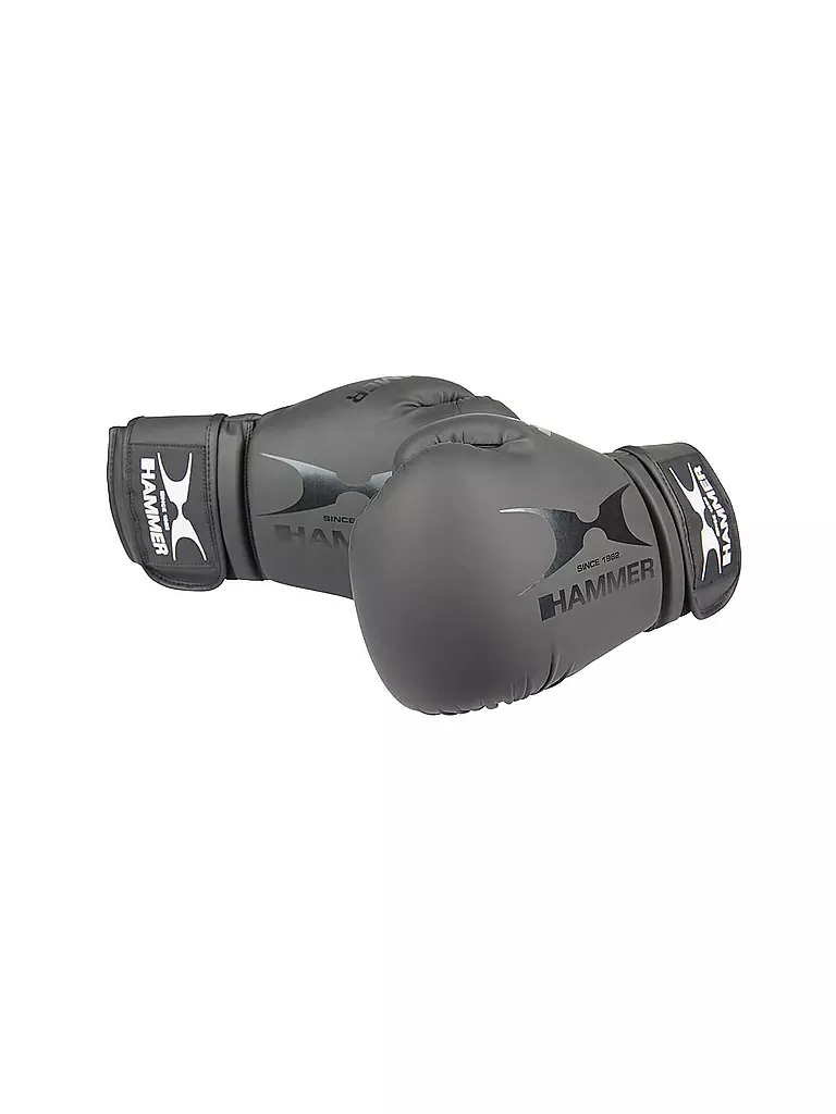 HAMMER | Boxhandschuhe Hawk | schwarz