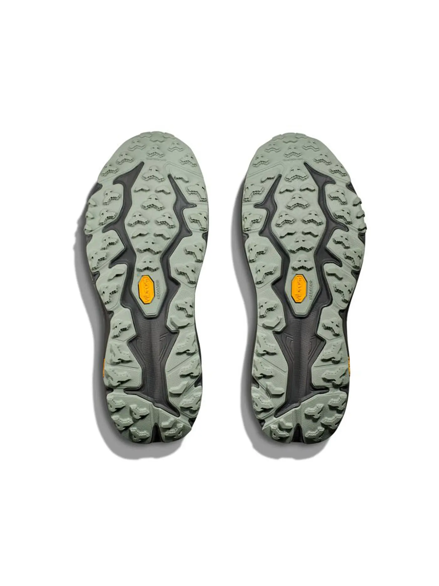 HOKA | Heren Traillaufschuhe Speedgoat 6 GTX | grau