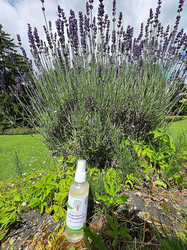 HUMANWERKSTATT | Magnesium Öl mit Lavendel | keine Farbe