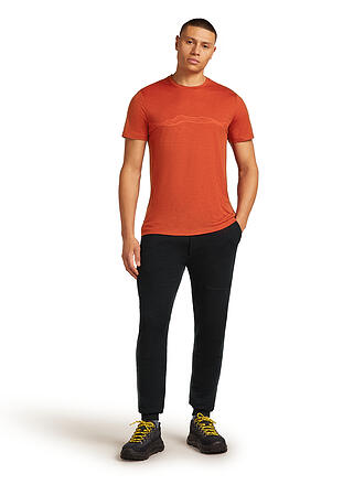 ICEBREAKER | Herren Funktionsshirt Mount Pulse 150 Tech