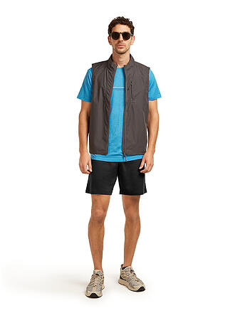 ICEBREAKER | Herren Funktionsshirt 150 Tech Lite T-Shirt Range Stripes