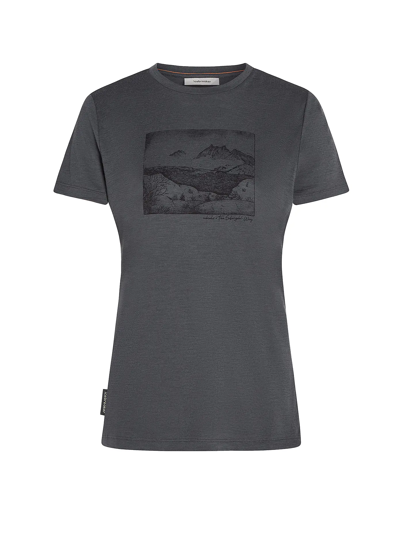 ICEBREAKER | Damen Funktionsshirt Lake View 150 Tech-Lite | grau