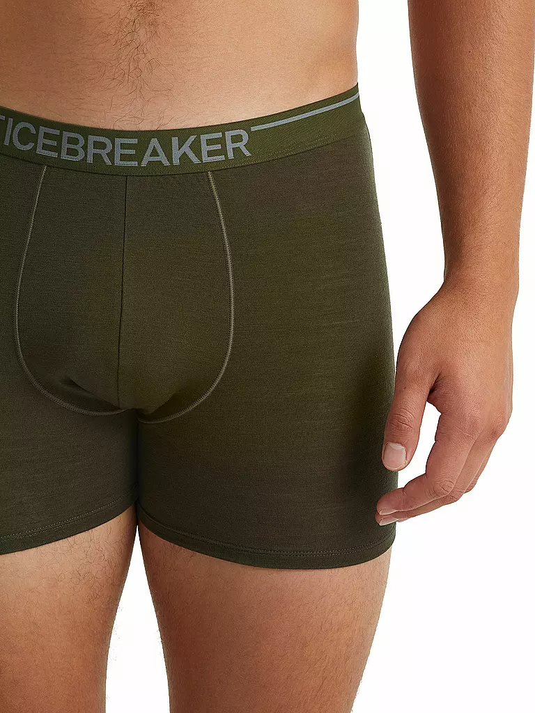 ICEBREAKER | Herren Boxershort Merino Anatomica | olive