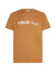 ICEBREAKER | Herren Funktionsshirt Massif Trail 150 Tech | senf