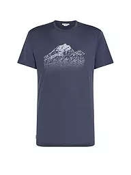 ICEBREAKER | Herren Funktionsshirt Mount Tech Lite | grau