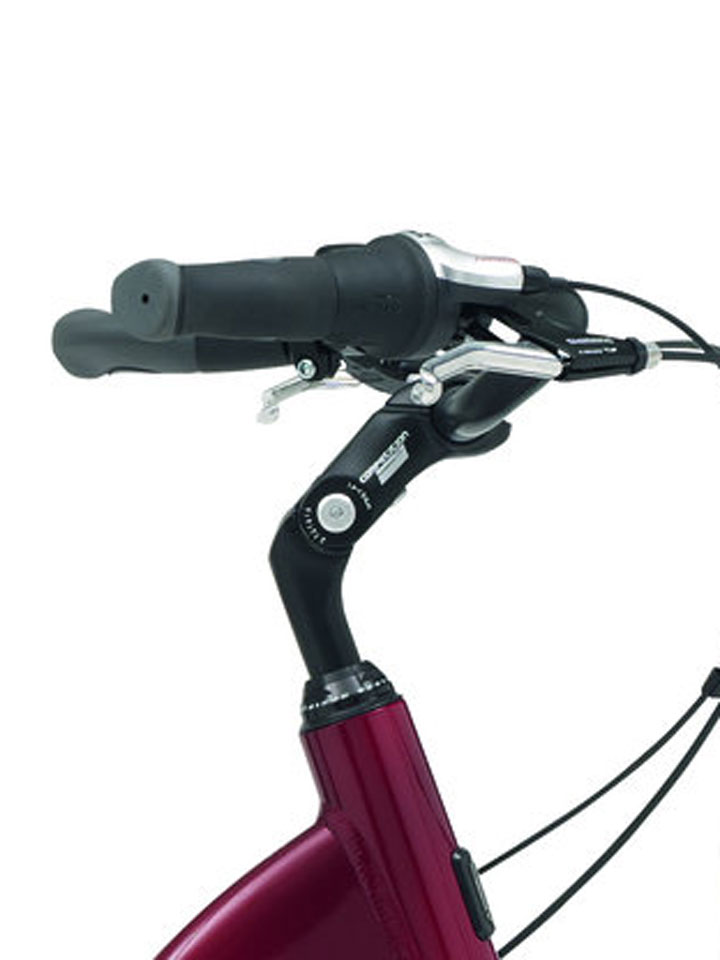 KETTLER | E-Bike Twin Comfort FL, 12,0 AH | 