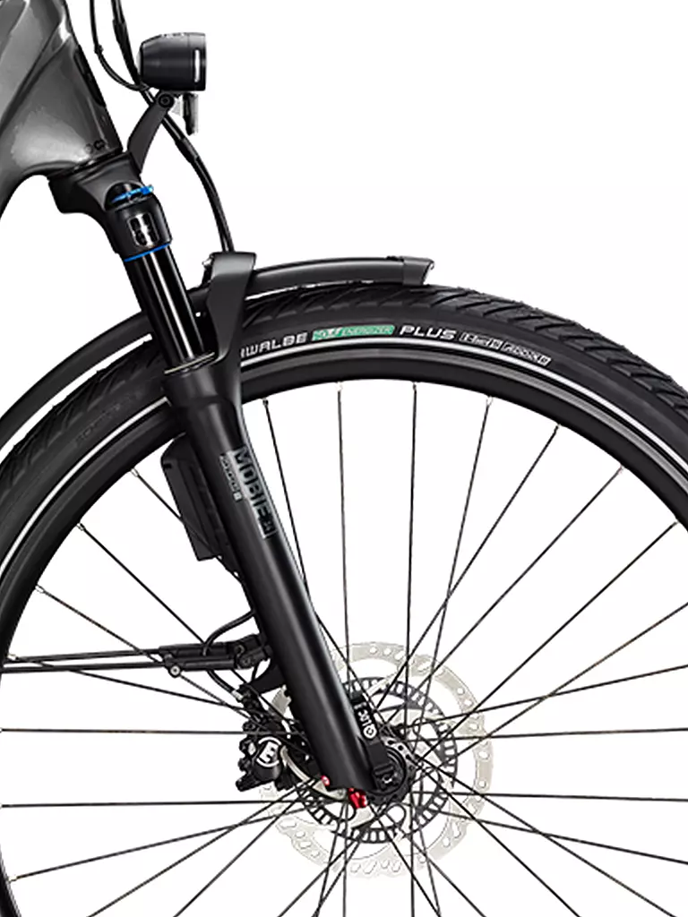 KTM | Herren E-Bike Macina Style 820 ABS | silber