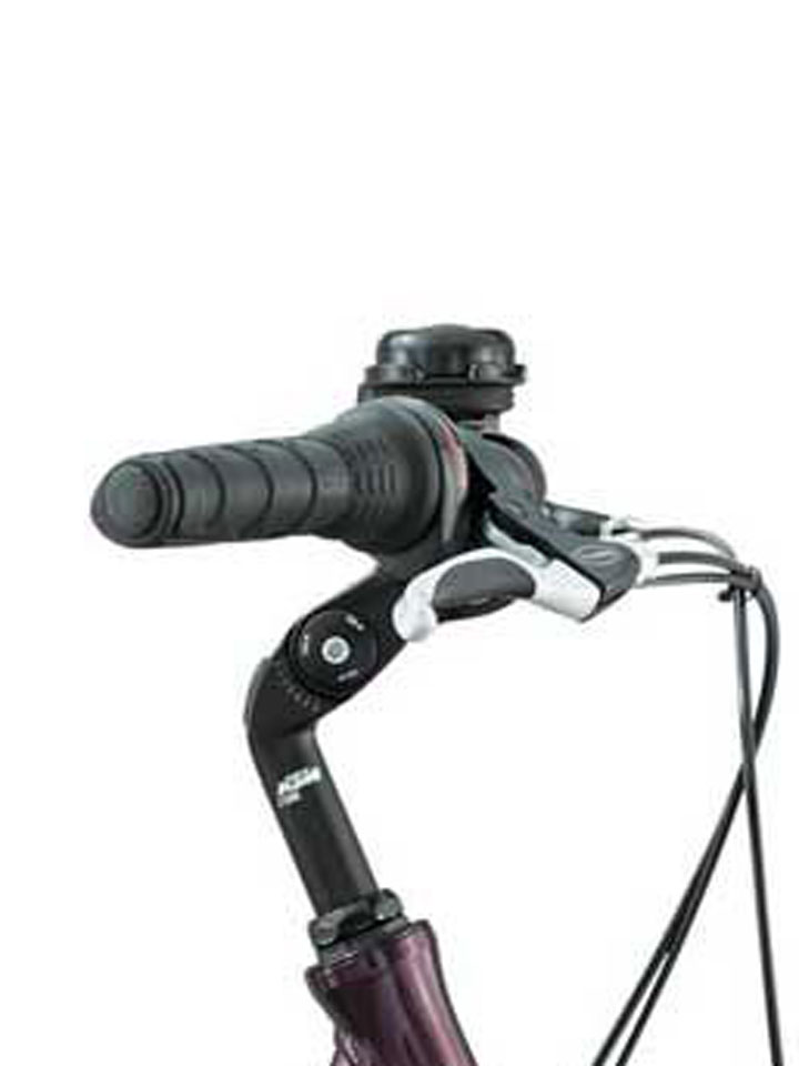 KTM | Trekking-Bike Univers 8K+ bordeaux | 