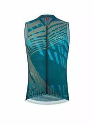 LÖFFLER | Herren Radtrikot Vent FZ Mid SL | bunt