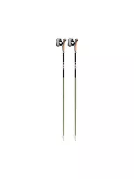 LEKI | Nordic Walkingstöcke Flash Carbon | schwarz