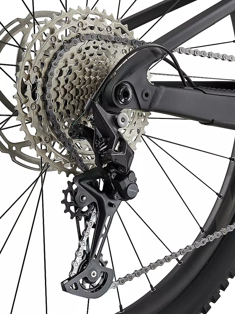 LIV by GIANT | Damen E-Mountainbike Embolden E+ 1 Pro 2023 | schwarz