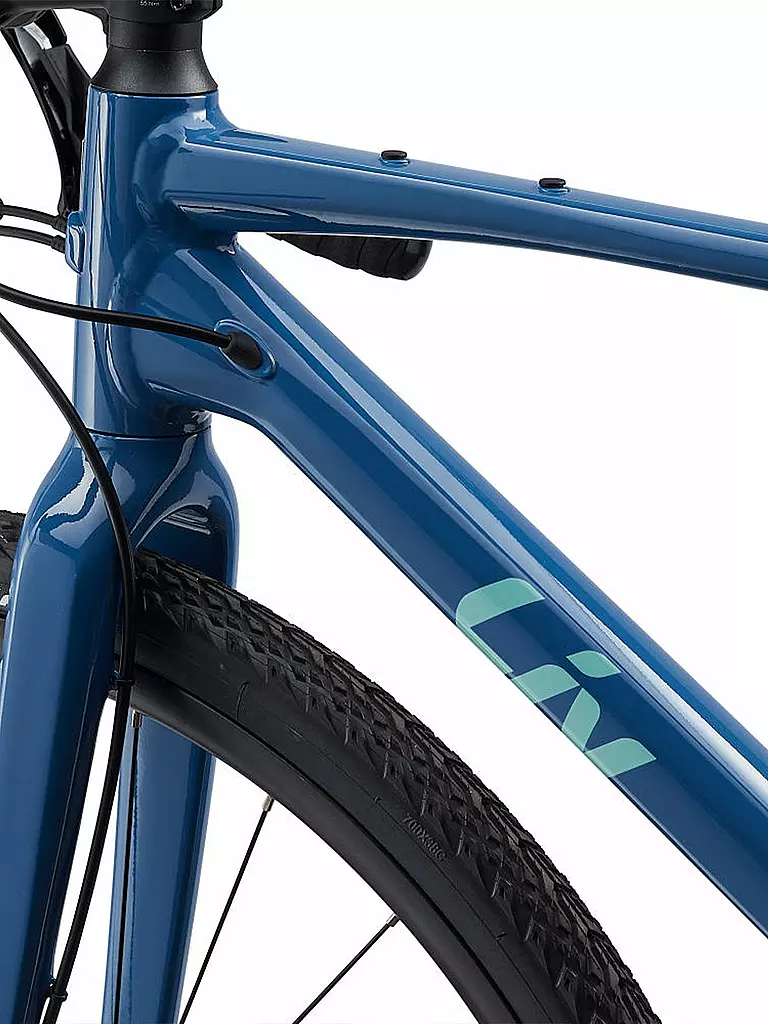 LIV by GIANT | Damen Gravel Bike Devote 1 | blau