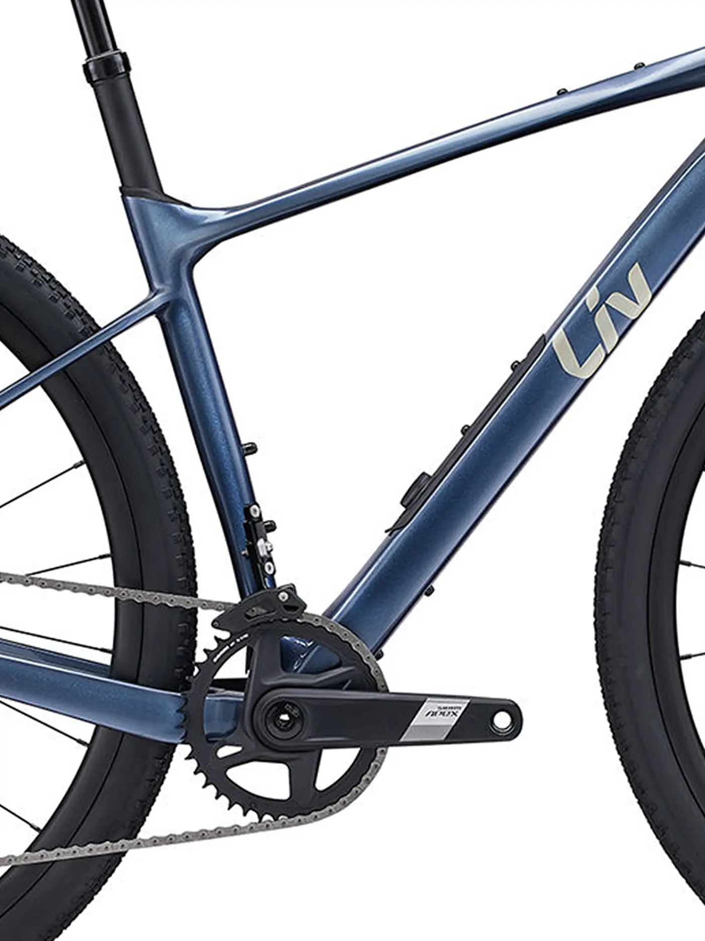 LIV by GIANT | Gravelbike Devote Advanced 1 | blau