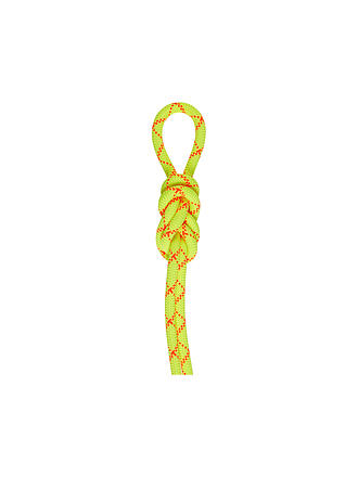 MAMMUT | Seil 9.5 Alpine Core Protect Dry Rope