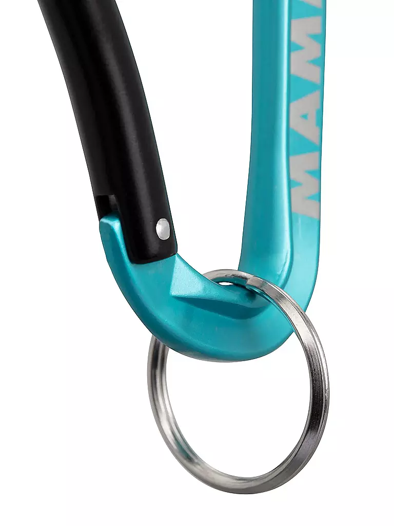 MAMMUT | Mammut Mini Carabiner Classic Keylock S | blau