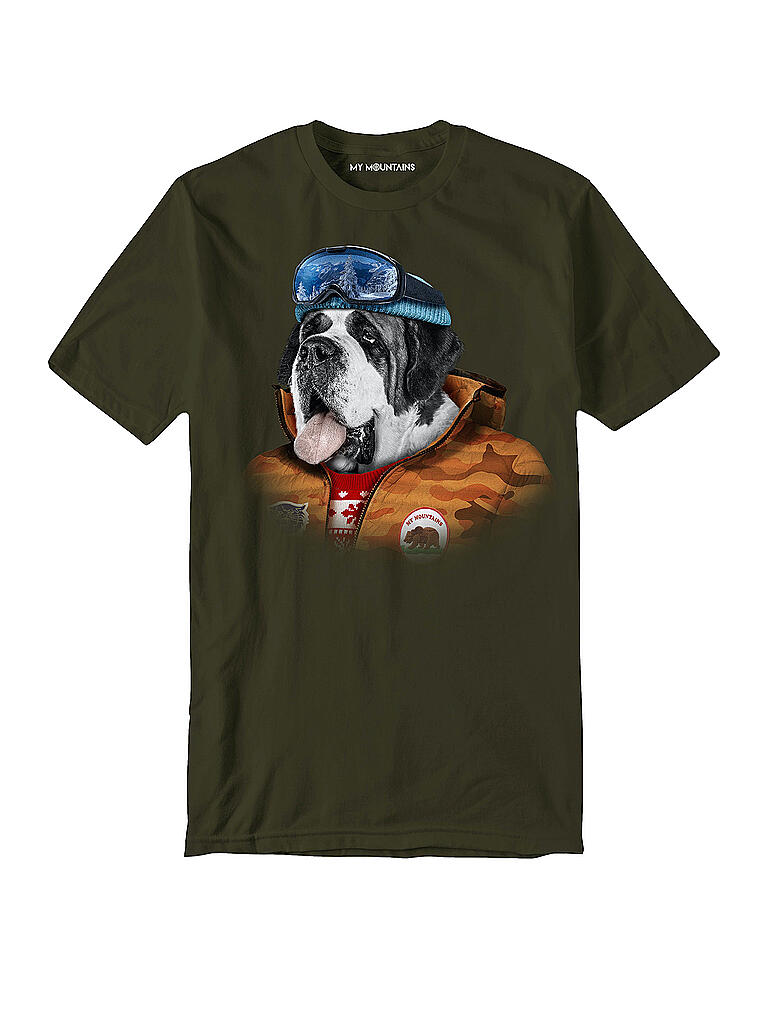 MY MOUNTAINS | Herren T-Shirt St Ber | grün