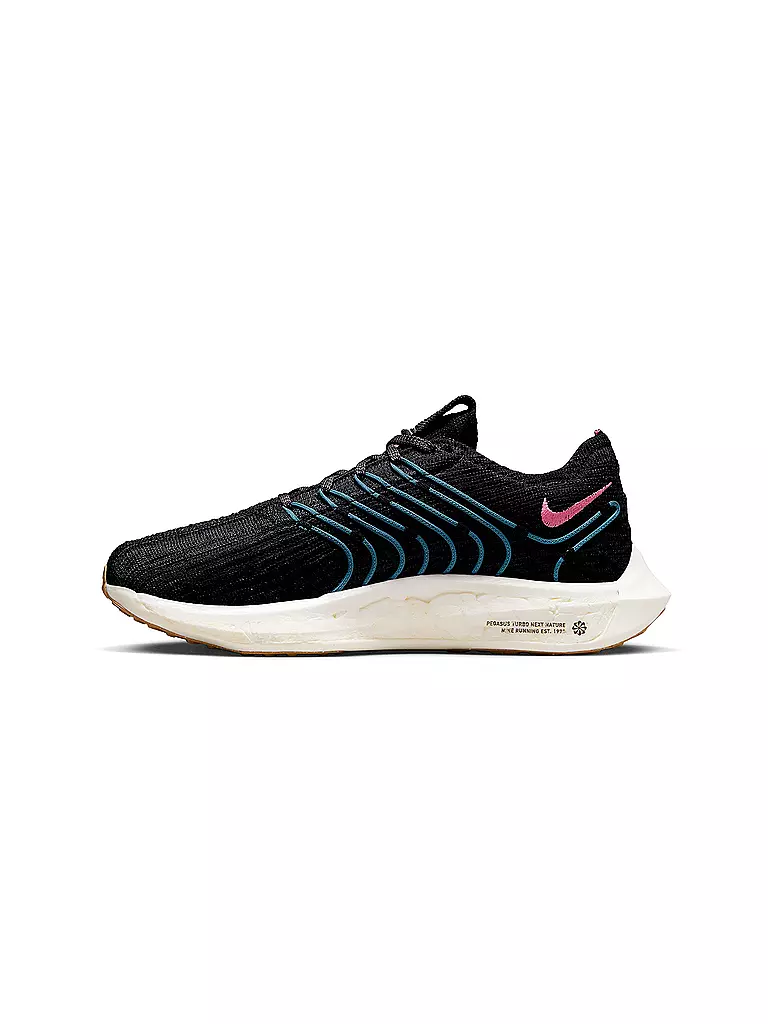 NIKE | Damen Laufschuhe Pegasus Turbo Next Nature | schwarz