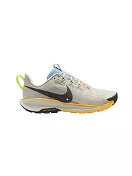 NIKE | Damen Traillaufschuhe Pegasus Trail 5 | beige