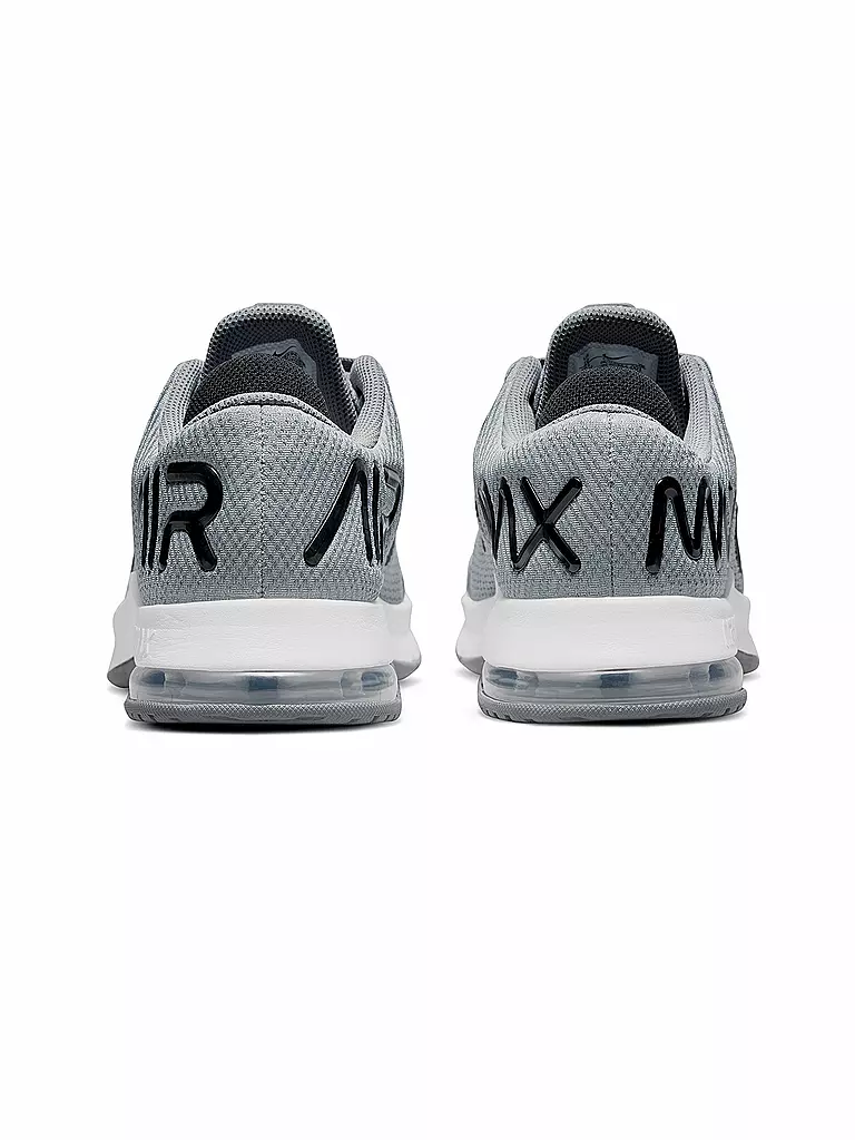 NIKE | Herren Fitnessschuhe  Air Max Alpha Trainer 4 | grau