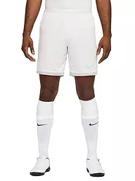 NIKE | Herren Fußballshort Academy | creme