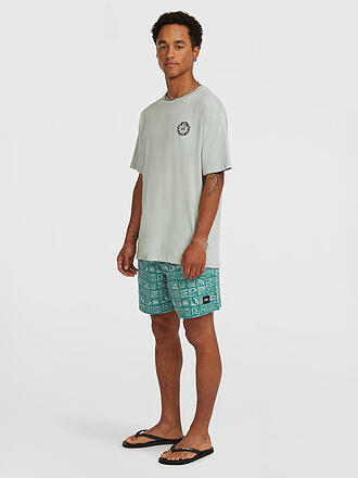O'NEILL | Herren Beachshorts Print
