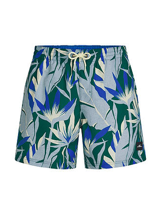 O'NEILL | Herren Beachshorts Print