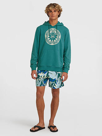O'NEILL | Herren Beachshorts Print