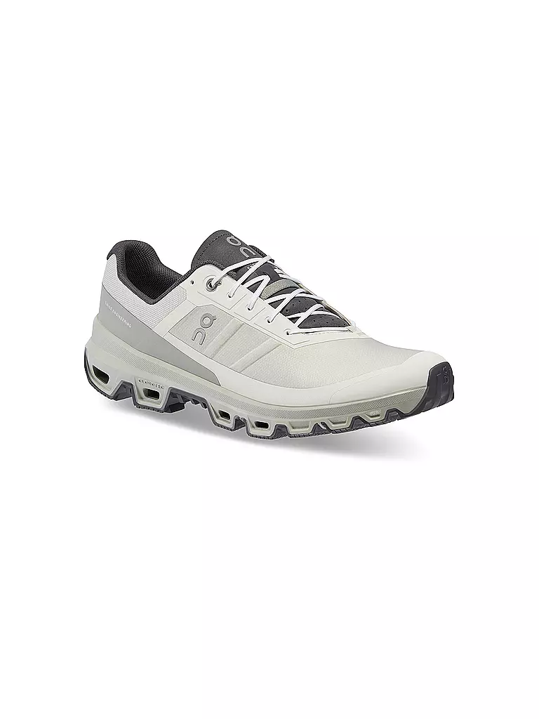 ON | Herren Traillaufschuhe Cloudventure | grau