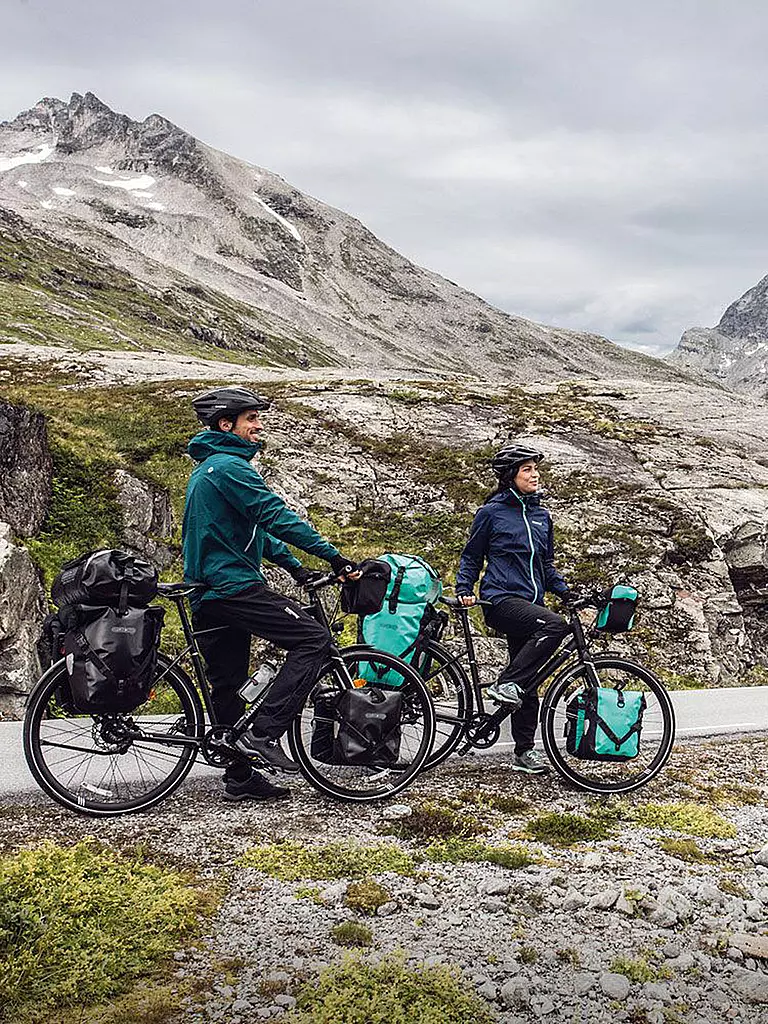 ORTLIEB | Fahrrad-Packtaschen Set Back-Roller Free | grün